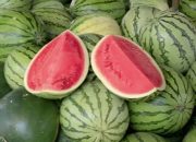 Buah Semangka: Rahasia Segar untuk Kesehatan, Diet, dan Vitalitas Pria yang Jarang Diketahui