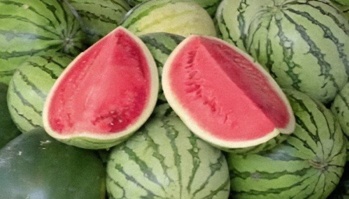 Buah Semangka: Rahasia Segar untuk Kesehatan, Diet, dan Vitalitas Pria yang Jarang Diketahui