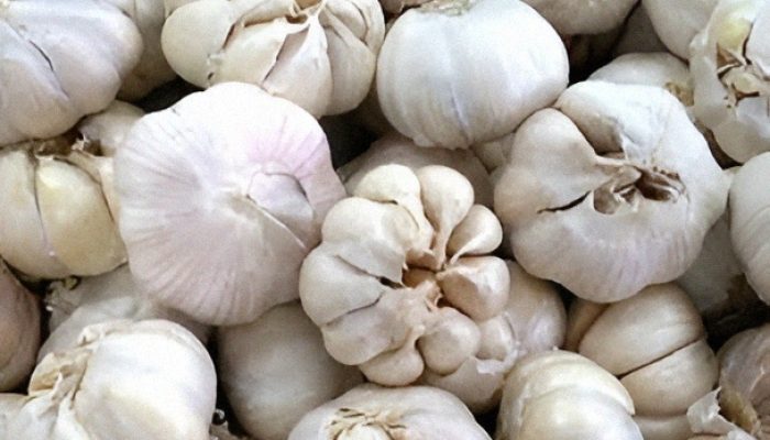 Segudang Manfaat Bawang Putih untuk Kesehatan Tubuh, Sudah Tahu?