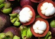 Manfaat Buah Manggis Bagi Kesehatan: Solusi Alami untuk Tubuh Sehat
