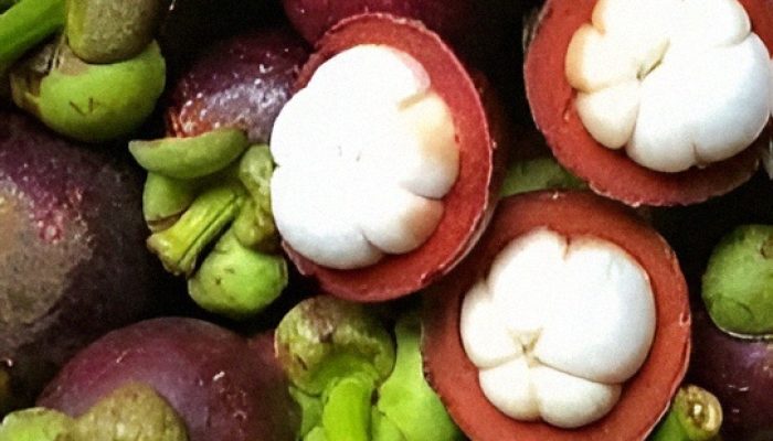 Manfaat Buah Manggis Bagi Kesehatan: Solusi Alami untuk Tubuh Sehat