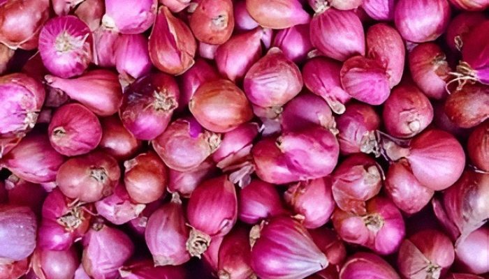 7 Manfaat Bawang Merah untuk Kesehatan Tubuh, Jangan Remehkan Khasiatnya!