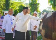 Sapi Kurban Hampir 1 Ton dari Presiden Prabowo Hadirkan Berkah Spesial di Kota Probolinggo