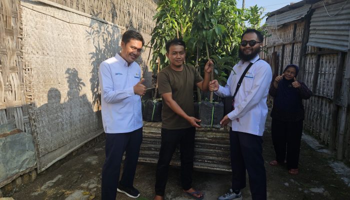 Menyambut HUT ke-80 RI, PLN UP3 Madura Salurkan Ribuan Bibit Pohon Produktif se-Madura