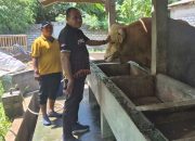 Kalapas Syukron Hamdani Tinjau Rencana Kerja Sama Peternakan untuk Pembinaan Warga Binaan Lapas Pamekasan
