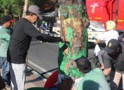 Bupati Pamekasan bersama pegawai OPD melakukan kerja bakti dan mengecat pohon di tepi jalan dalam program Pamekasan Bersih.