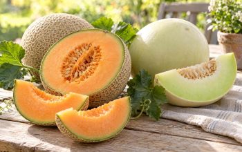 Mengenal Buah Melon dan Beragam Manfaatnya