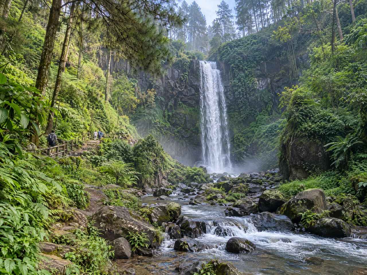 Air Terjun Coban Talon Batu dengan aliran air di tengah hutan pinus